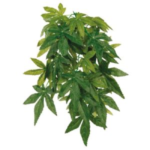 Trixie Seidenpflanze Abutilon, Umfang 20 cm x 30 cm hoch