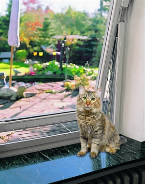 Trixie Katzenschutzgitter für Fenster (Seite)- 62 x 16 - 8 cm